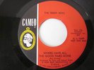 The Teddy Boys -Where Have All The Good Times Gone- LA LA -Rock/Fuzz/Garage 45