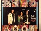 Dead Moon - Dead Moon Night LP Music Maniac Fred Cole Rare Lollipop Shoppe Rats