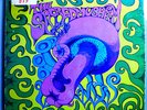 SACRED MUSHROOM RARE PSYCH LP ORIGINAL '67 PARALLAX PROMO STEREO LP VERY NICE