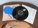 Jennifer Warnes - Famous Blue Raincoat LP - Mint Audiophile Vinyl - World Ship