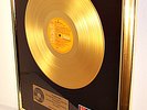 Elvis, 20 Fantastic Hits, Golden Record, goldene Schallplatte, Platin RCA