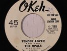 OPALS: Tender Love / Does It Matter (rare soul vinyl 45) dj, tag residue/wol