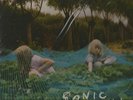 Sonic Youth - Murray Street - Vinyl