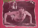 The Cramps,Sex & Cramps & Rock'n'roll,Vinyl,Doppel LP,Rockabilly,Punk,