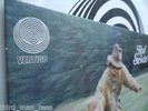 ROD STEWART An Old Raincoat Won't Ever Let You Down UK Vinyl LP Vertigo NM Faces