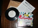 RARE BEATLES FAN CLUB 1966 UK CHRISTMAS  FLEXI DISC - PANTOMIME- AND NEWSLETTER