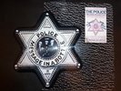 The Police - Message in a Bottle - Vinyl - Limited Edition Picture Disk