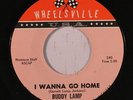 BUDDY LAMP: I Wanna Go Home / Confusion (rare soul vinyl 45)