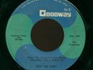 SILHOUETTES-Very Rare Northern Soul 45 on GOODWAY-Not Me Baby