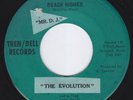 THE EVOLUTION Reach Higher WIDELY UNKNOWN garage 45  psych G45 LISTEN