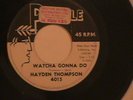HAYDEN THOMPSON PROFILE 45 RPM # 4015 WHATCHA GONNA DO / SUMMERS ALMOST  OVER