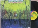 AMERICAN BLUES - DO THEIR THING - PSYCHEDELIC BLUES / GARAGE