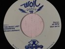 rare Modern Soul 45 KATHY BROWN too many last goodbyes Listen
