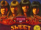 THE SWEET (T. REX/MOTT THE HOOPLE/SLADE/NEW YORK DOLLS) Live+Studio´74 Doppel-LP