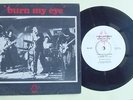 RADIO BIRDMAN 'BURN MY EYE' ORIGINAL 1976 DEBUT 7