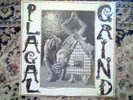 PLAGAL GRIND Plagal Grind New Zealand Indie LP NM Jefferies / Galbraith