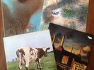 4x Pink Floyd LPs : A saucerful of secrets, Meddle, Atom Heart Mother, Animals