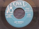 HOOT ROBERTS AND THE NIGHT HAWKS Hey Sheriff Owl Rockabilly Country Bop 45 HEAR