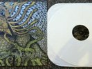 Circle Takes The Square As The Root Undo. RARE WHITE VINYL SCREAMO 220