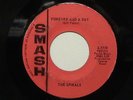 THE SPIRALS Forever And A Day SMASH hear soundclip EARLY 60s GROUP