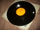 AL BANO CARRISI & ROMINA POWER LACCA PROVINO ACETATO 