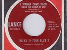 RARE 60'S GARAGE/PSYCH  - THE FE-FI-FOUR PLUS 2 - LANCE RECORDS