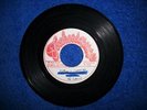 THE INTERNS , NOTHING IS IMPOSSIBLE ,TECHNIQUES , RARE 45 , VICEROYS , TOP ROOTS