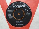 The Golliwogs - Fight Fire 1966 UK 45 HEAR IT 