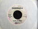 ROCKY & THE RIDDLERS-FLASH & CRASH,PANORAMA,DJ WHITE LABEL PROMO,GARAGE