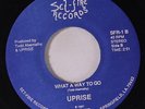 UPRISE: What A Way To Go / She's Gone 45 (private pressing, great raw garage, f
