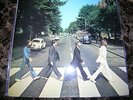The Beatles Abbey Road Rare UK Export LP on Green Vinyl Orig 1st Press