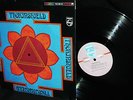 RARE  1967 ORIG   THORINSHIELD   DREAMY SOFT PSYCH GROOVY HEAD SOUNDS 