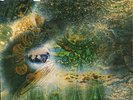 Columbia SX6258 - PINK FLOYD - A Saucerful Of Secrets - 1968 Orig. UK LP - RARE