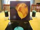 Swans The Burning World Vinyl LP Original 1989 Michael Gira Angels of Light