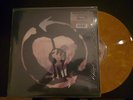 Rise Against Endgame limitiert