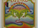 Lizzard 