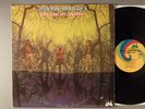 American Blues  Do Their Thing      Pre ZZ Top   Psych