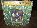 1966 THE LEAVES   HEY JOE   GARAGE Fuzz Folk Rock LP MONO Original