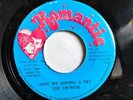 LEE CRYSTAL GIVE MY LOVING A TRY KILLER REGGAE ROMANTIC 45 M- 1988 LISTEN 