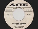 '59 NYC DooWop SHARPTONES I'll Always Remember/Sock Hop ACE 133 DJ HEAR BOTH NOW