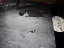 JOHN ZORN : NAKED CITY LP 1990 ELEKTRA GERMANY