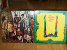 The Incredible String Band