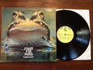 Froggie Beaver From the Pond LP 1973 Psych/Prog Rock Private Label dsi-7301 VG+