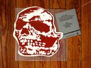 Orchid / Jerome's Dream Skull split 10