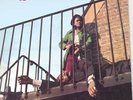 HARRY J ALL STARS LIQUIDATOR 12