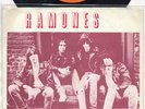 ? RAMONES - I Wanna Be Sedated // unique Dutch PS 1978 ?