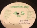 Wailing Soul Very Well Original Killer Roots 12