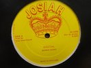 BIONIC ECHO DIGITAL ORIGINAL UK JOSIAH 12 CLIP MINT