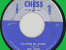 JIMMY ROGERS (w/ Walter Horton) Walking By Myself 45rpm Chess 1956