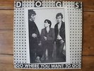 33 tours LP vinyl Dogs Go Where You Want To Go Melodies Massacre French Punk
